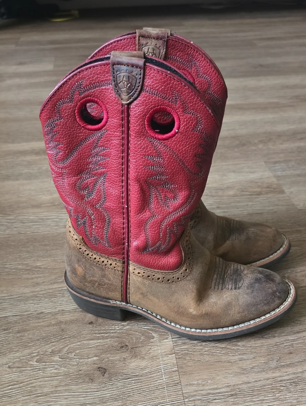 Ariat pull kids